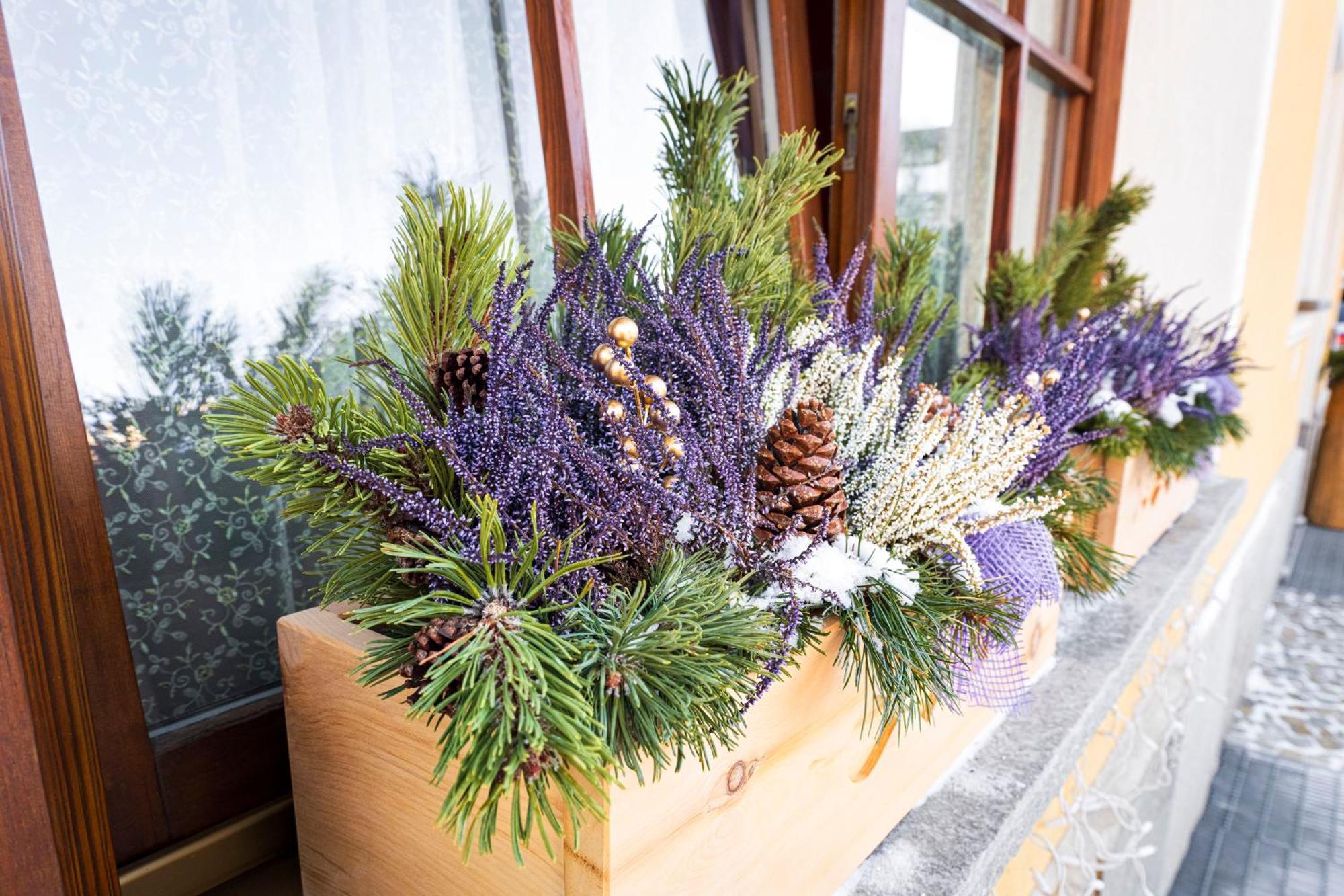 Chalet Rosita Лівіньо Екстер'єр фото
